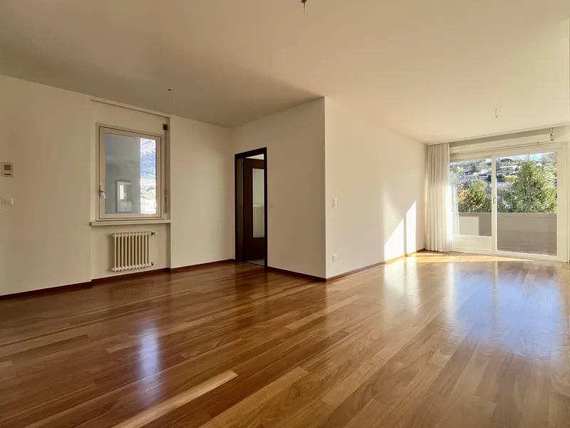 AFFITTASI 3.5 LOCALI CON SAUNA E PALESTRA A MENDRISIO, Foto 3