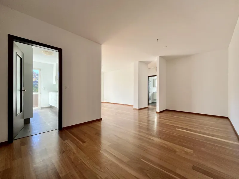 AFFITTASI 3.5 LOCALI CON SAUNA E PALESTRA A MENDRISIO, Foto 4