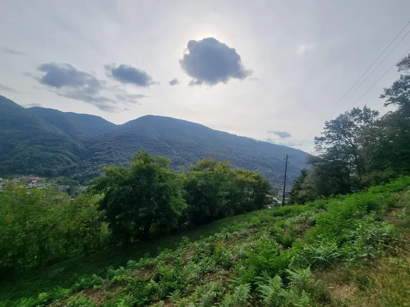 TERRENO EDIFICABILE DI 2567 MQ CON VISTA APERTA A MONTEGGIO, Foto 3