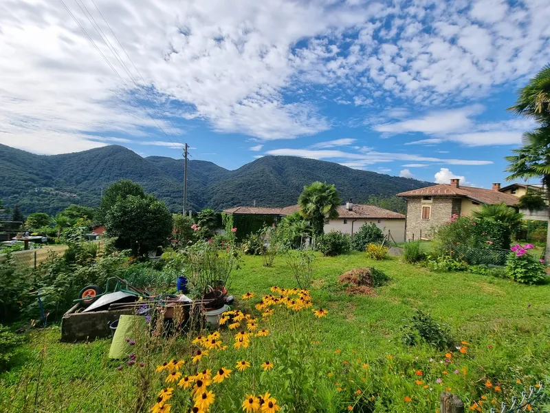 SPLENDIDO TERRENO EDIFICABILE CON PROGETTO A MONTEGGIO, Foto 4