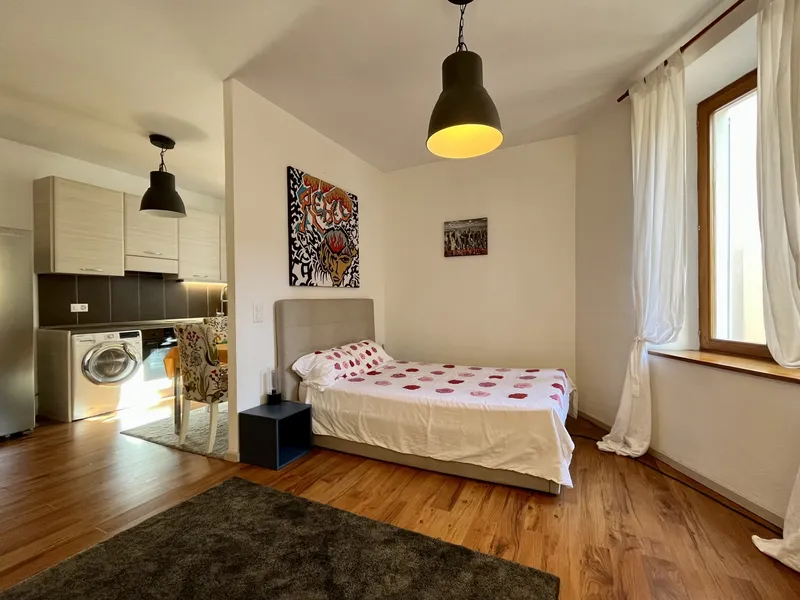 AFFITTASI BILOCALE OPEN-SPACE ARREDATO DI DESIGN A MASSAGNO, foto 3