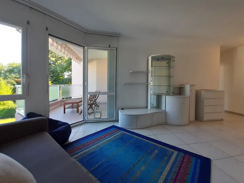 AFFITTASI COMODO 2.5 LOCALI ARREDATO VISTA LAGO A LUGANO, foto 4