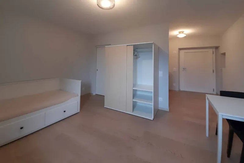 AFFITTASI MODERNO MONOLOCALE ARREDATO A LUGANO PARADISO, foto 1