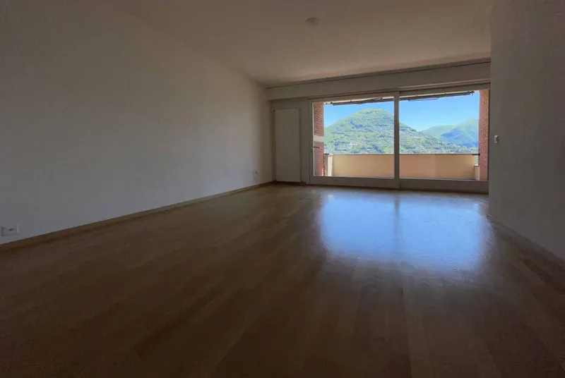NUOVA OCCASIONE - AMPIO 3.5 CON STUPENDA VISTA LAGO A LUGANO, foto 3