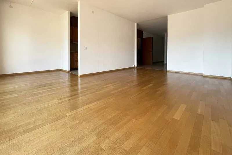 NUOVA OCCASIONE - AMPIO 3.5 CON STUPENDA VISTA LAGO A LUGANO, foto 5
