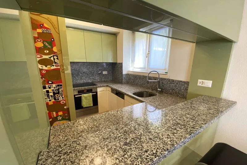 2.5 LOCALI CON VISTA LAGO E PISCINA RESIDENZIALE A LUGANO, foto 6