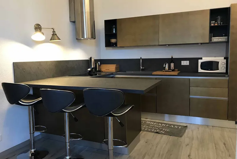 SPLENDIDO 3.5 LOCALI RISTRUTTURATO A LUGANO PAZZALLO, foto 4