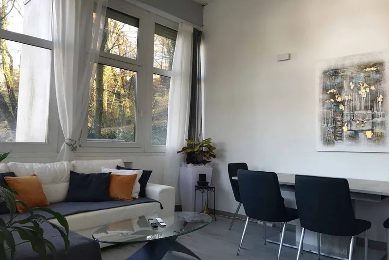 SPLENDIDO 3.5 LOCALI RISTRUTTURATO A LUGANO PAZZALLO, foto 6