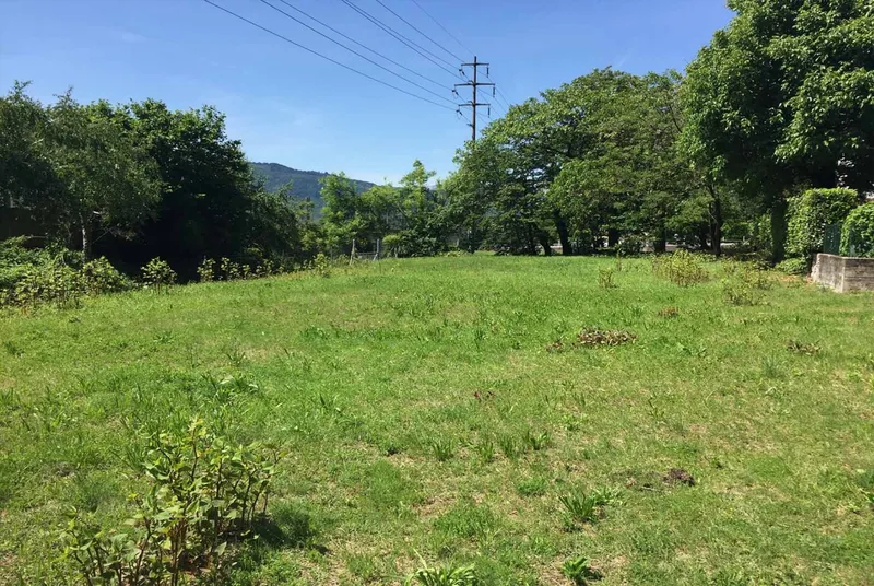 TERRENO PIANEGGIANTE EDIFICABILE DI 1017 MQ A MELANO, Foto 6