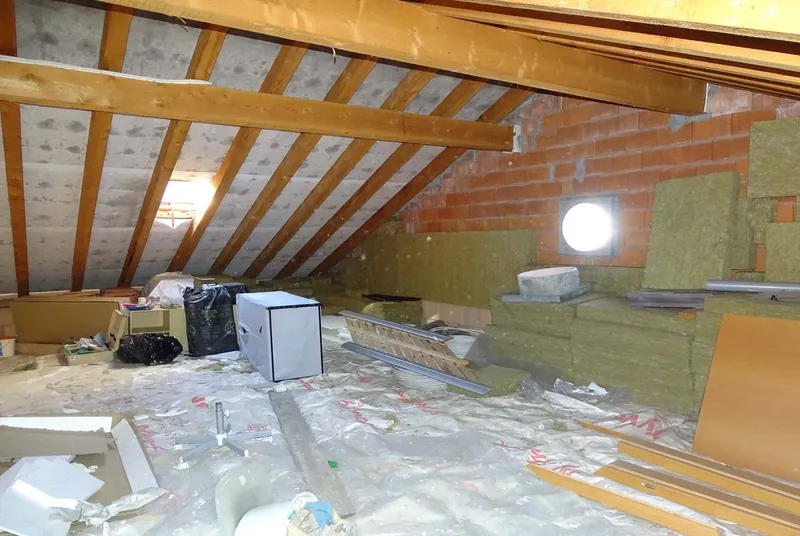 AMPIA MANSARDA 2.5 LOCALI SENZA FINITURE A LUGANO CANOBBIO, foto 3