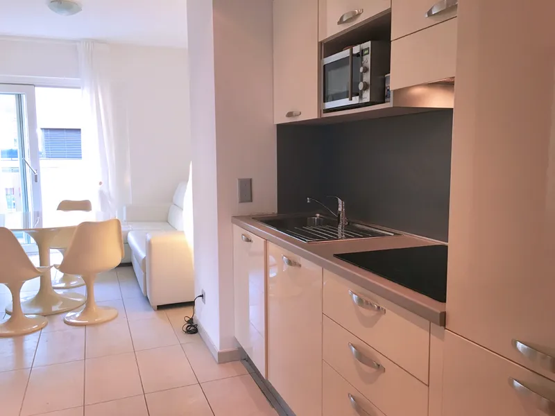 MODERNO 3.5 LOCALI DI DESIGN A LUGANO CASSARATE, photo 2