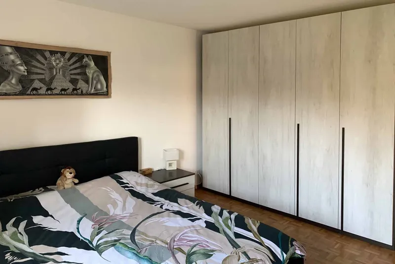 APPARTAMENTO 3.5 LOCALI CON GIARDINO A PREGASSONA, foto 11
