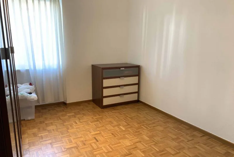 APPARTAMENTO 3.5 LOCALI CON GIARDINO A PREGASSONA, foto 8