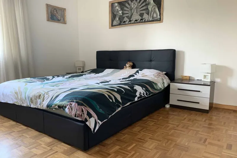APPARTAMENTO 3.5 LOCALI CON GIARDINO A PREGASSONA, foto 10