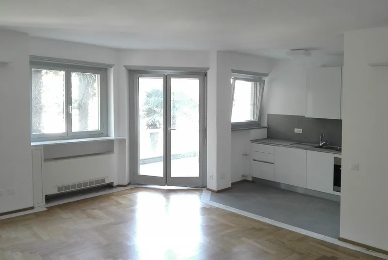 2.5 LOCALI RISTRUTTURATO CON TERRAZZA VISTA LAGO A LUGANO, photo 2