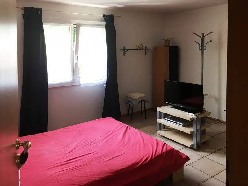 AMPIA CASA 5.5 LOCALI CON TERRAZZO E GIARDINO A PURA, foto 9