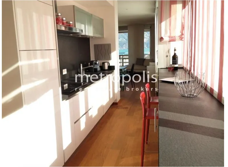 ESCLUSIVO 3.5 LOCALI IN CENTRO LUGANO VISTA LAGO, foto 3