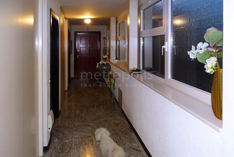 ELEGANTE 3.5 LOCALI CON TERRAZZA E GIARDINO VISTA LAGO A BRI, foto 8