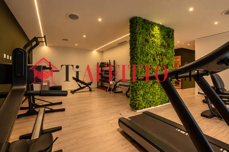 SAUNA E PALESTRA NEL TUO NUOVO 2.5 LOCALI A MASSAGNO, foto 4