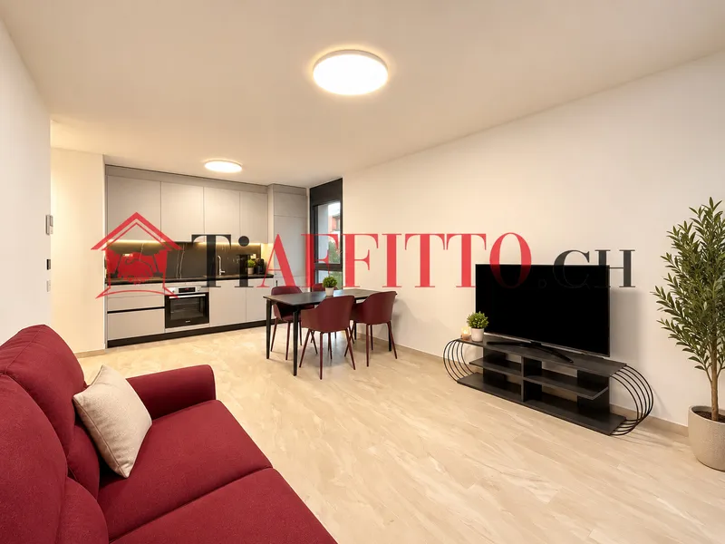 NUOVO 2.5 LOCALI CON GRANDE TERRAZZA A LUGANO SORENGO, foto 5