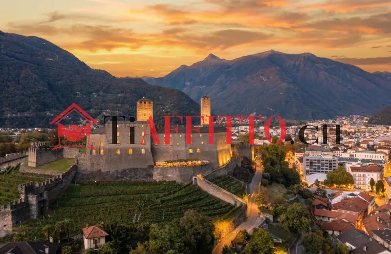 ENORME LOFT CON TERRAZZA VISTA SUI CASTELLI A BELLINZONA, Foto 11