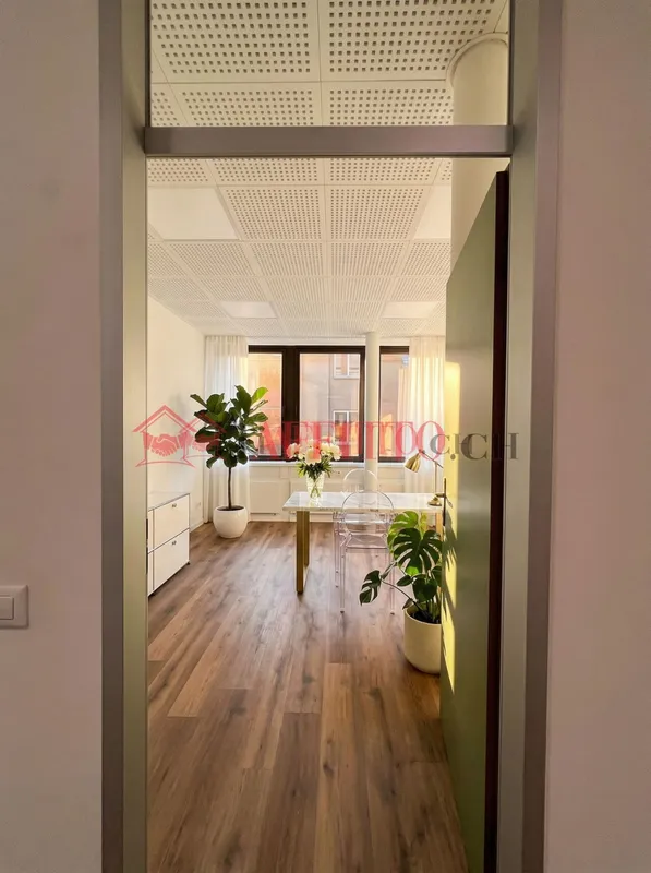 UFFICIO DI PRESTIGIO COMPLETAMENTE RISTRUTTURATO, Foto 5
