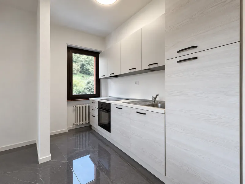 AFFITTASI ATTICO ARREDATO DI 3.5 LOCALI CON BALCONE A LUGANO, Foto 4