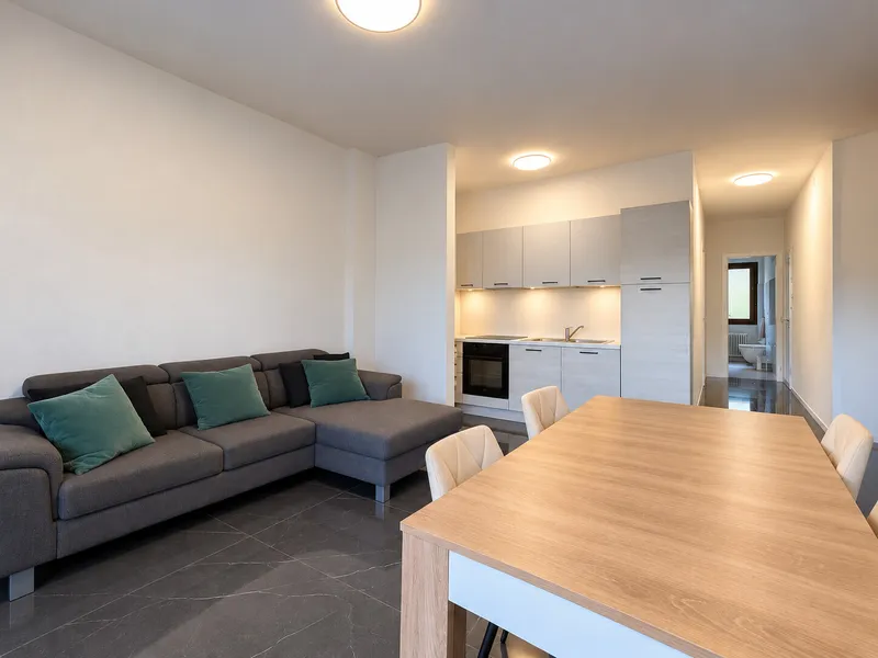 AFFITTASI ATTICO ARREDATO DI 3.5 LOCALI CON BALCONE A LUGANO, Foto 7