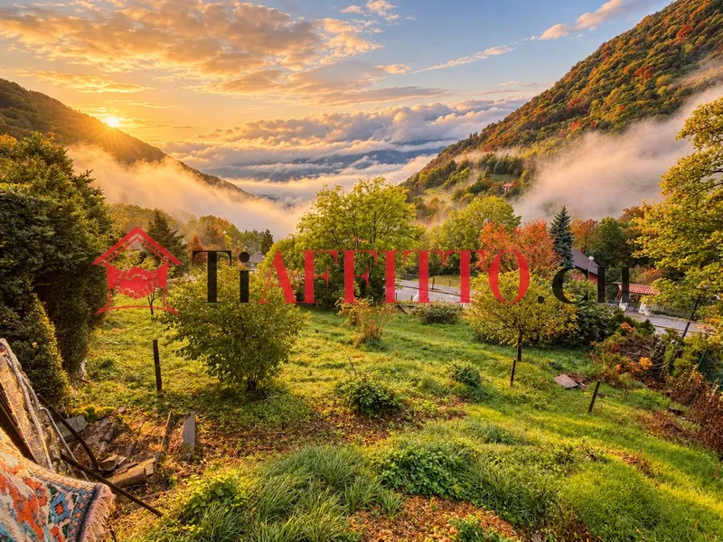 5.5 LOCALI CON GIARDINO PRIVATO NEL VERDE, Foto 3
