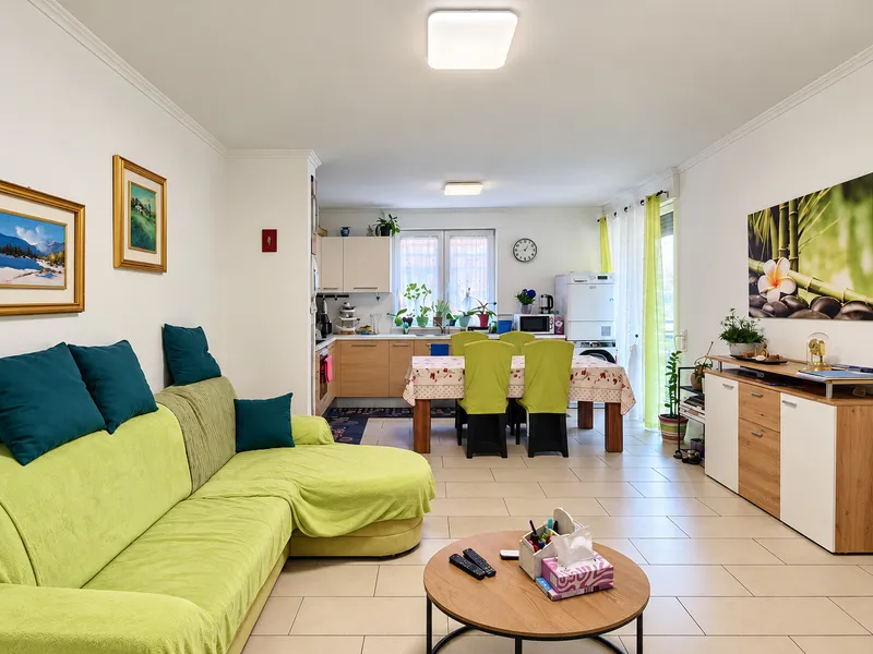 ACCOGLIENTE 4.5 LOCALI CON BALCONE E DOPPI SERVIZI A RIVERA, photo 4