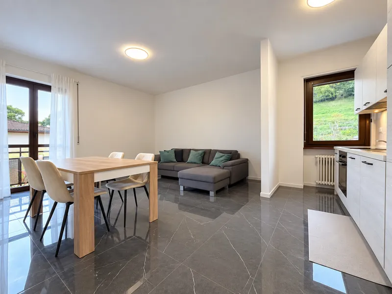 AFFITTASI ATTICO ARREDATO DI 3.5 LOCALI CON BALCONE A LUGANO, foto 2