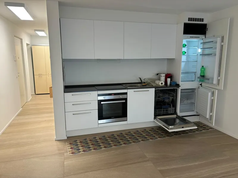2.5 LOCALI DI RECENTE COSTRUZIONE CON GIARDINO A BALERNA, foto 1