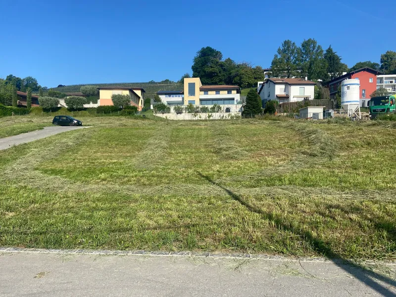 GRANDE PORZIONE DI TERRENO PER UNA AMPIA VILLA A STABIO, photo 2