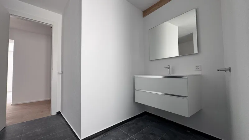 MODERNO ED AMPIO 3.5 LOCALI DI CHARME A MENDRISIO CENTRO, Foto 5