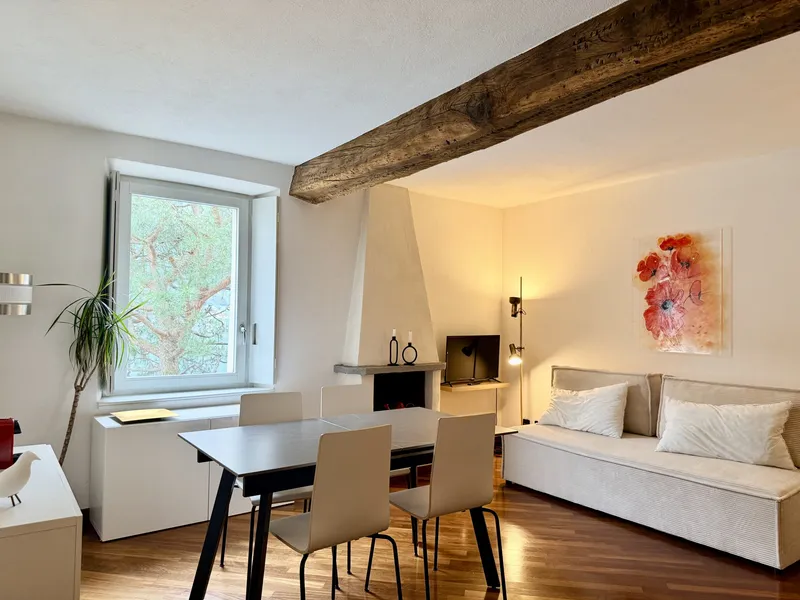 AFFITTASI STUPENDI BILOCALI IN PALAZZO STORICO A MORCOTE, foto 2