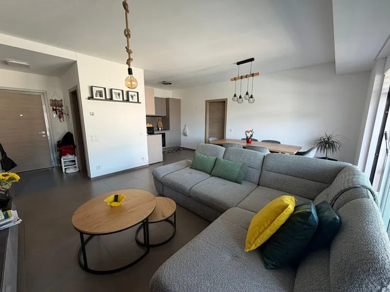 AFFITTASI COMODO APPARTAMENTO DI 2.5 LOCALI AD AGNO, foto 2