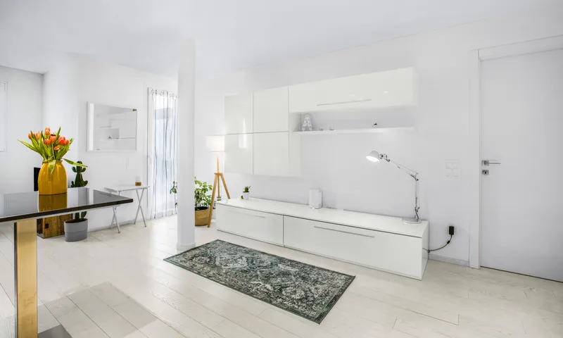 STUPENDO E MODERNO 2.5 LOCALI CON VISTA APERTA A MASSAGNO, foto 4