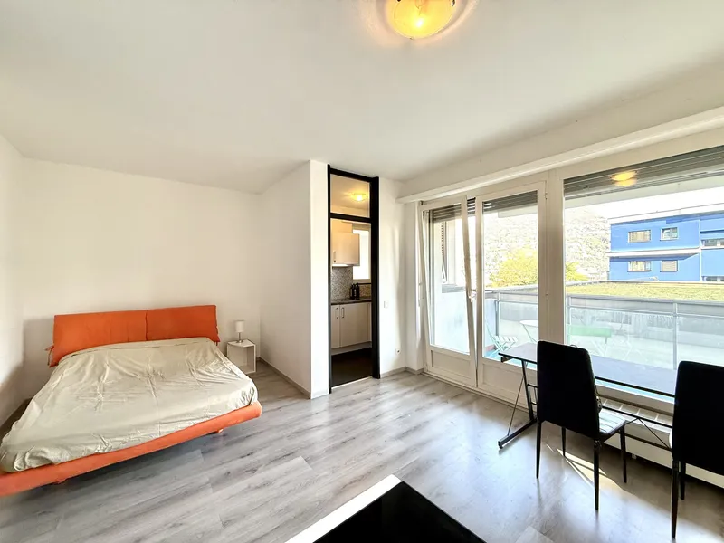 OTTIMO INVESTIMENTO A DUE PASSI DAL CENTRO DI LUGANO, foto 4