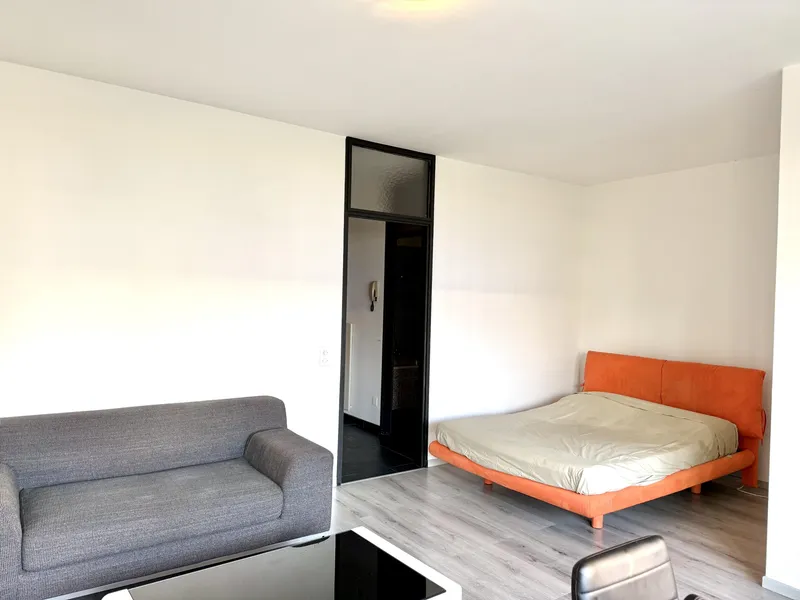 OTTIMO INVESTIMENTO A DUE PASSI DAL CENTRO DI LUGANO, foto 1