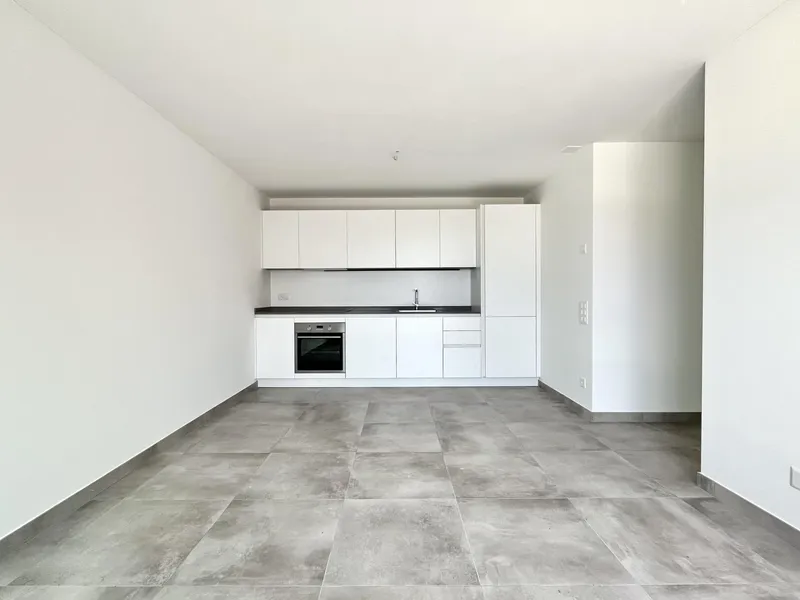 AFFITTASI 2.5 AL PIANO TERRA CON TERRAZZO A LUGANO TESSERETE, photo 4