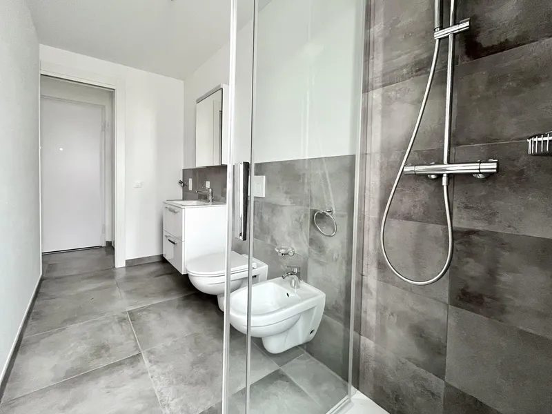 INVESTIMENTO - MODERNI 2.5 LOCALI CON TERRAZZA A TESSERETE, Foto 8