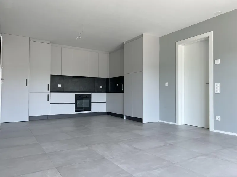 AFFITTASI 3.5 ULTIMO PIANO CON TERRAZZA A MORBIO INFERIORE, Foto 3
