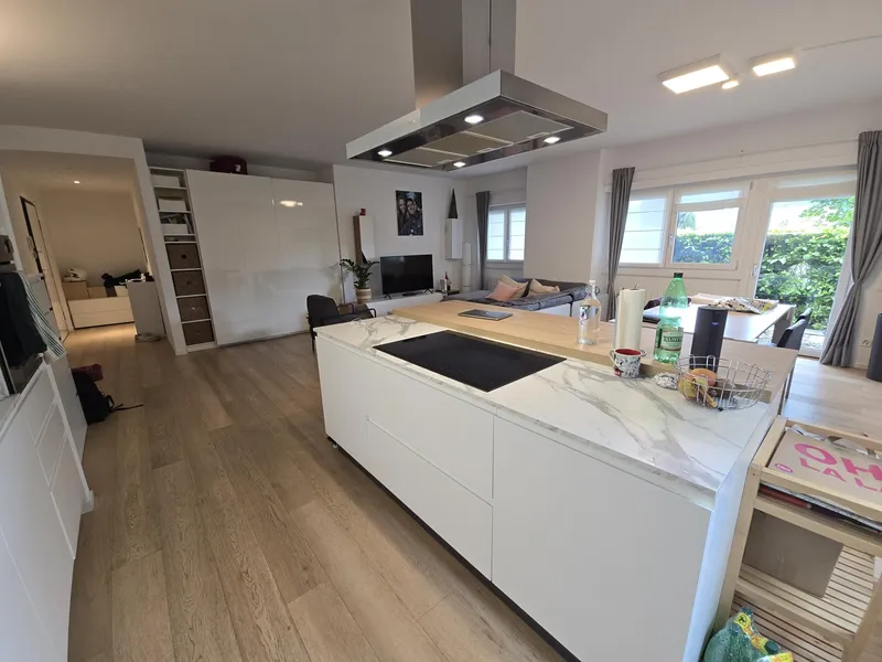 SPAZIOSO 2.5 LOCALI MODERNO CON GIARDINETTO A LUGANO, foto 2