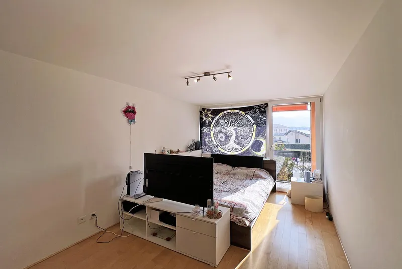 AMPIO DUPLEX 3.5 LOCALI CON GIARDINO PRIVATO AD AGNO, photo 9