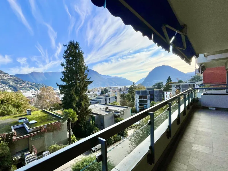 AFFITTASI SPLENDIDO 3.5 LOCALI CON VISTA LAGO A LUGANO, foto 2