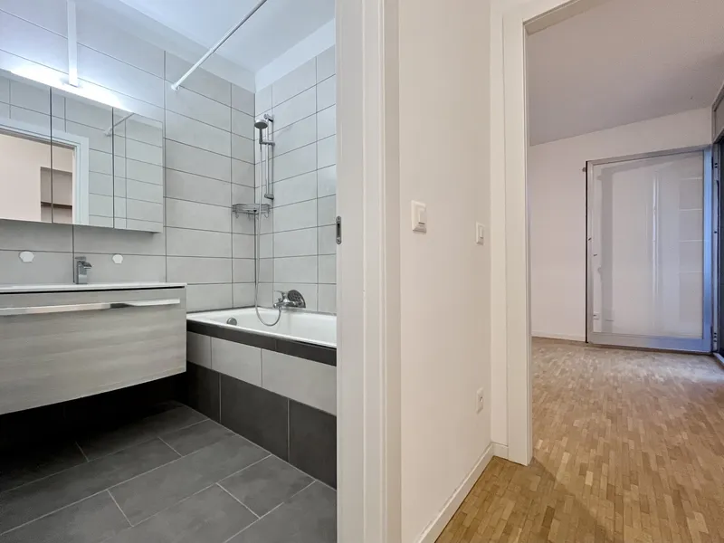 AFFITTASI BELLISSIMO 1.5 LOCALI RISTRUTTURATO A COLDRERIO, foto 4