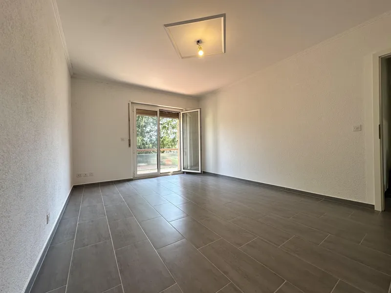 SUPER OCCASIONE - 3.5 RISTRUTTURATO CON BALCONE A LAMONE, foto 2
