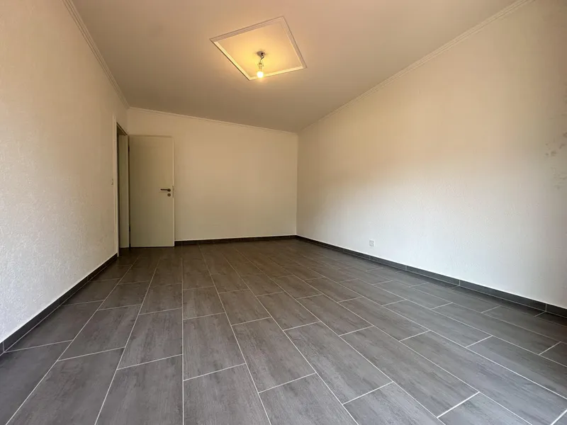 SUPER OCCASIONE - 3.5 RISTRUTTURATO CON BALCONE A LAMONE, foto 4