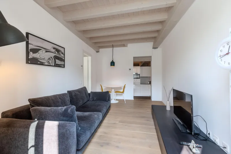 SPLENDIDO 2.5 LOCALI FRONTE LAGO CON BALCONE A MORCOTE, foto 1