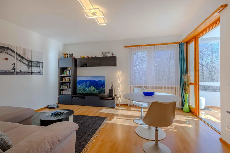 INVESTIMENTO IDEALE - AMPIO 3.5 CON TERRAZZA NEL LUGANESE, foto 2